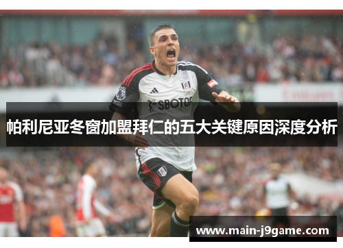 帕利尼亚冬窗加盟拜仁的五大关键原因深度分析 帕利尼亚冬窗加盟拜仁的五大关键原因深度分析