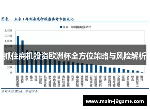 抓住商机投资欧洲杯全方位策略与风险解析